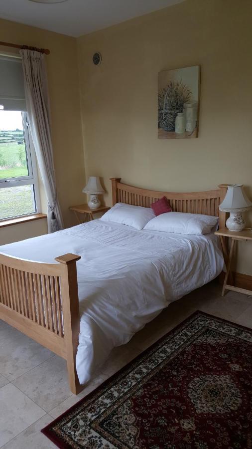 Room With A View Mullinavat Bagian luar foto